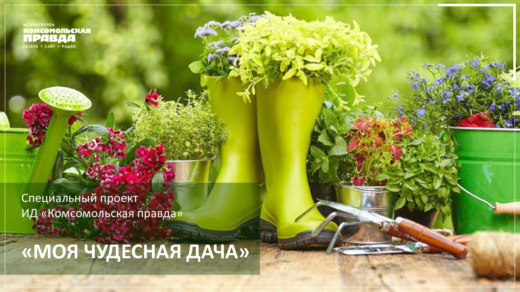 МОЯ ЧУДЕСНАЯ ДАЧА (САД, ОГОРОД)