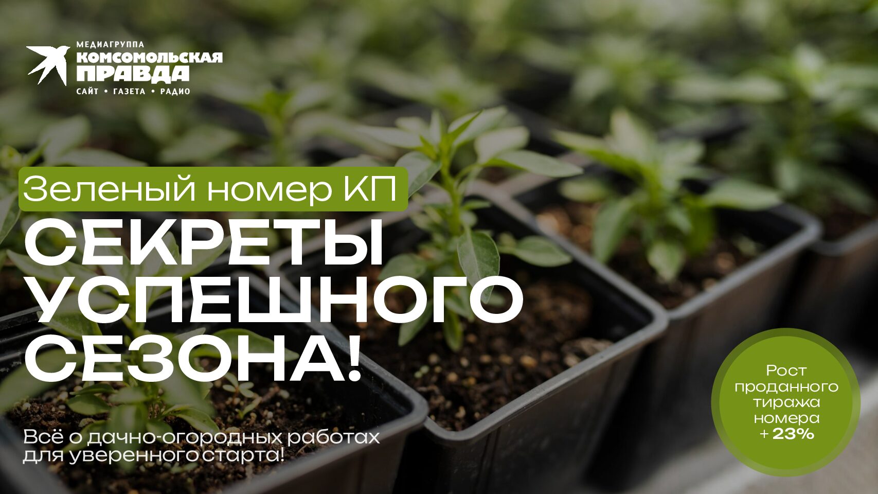 Зеленый номер КП, 16 и 24 февраля 2026