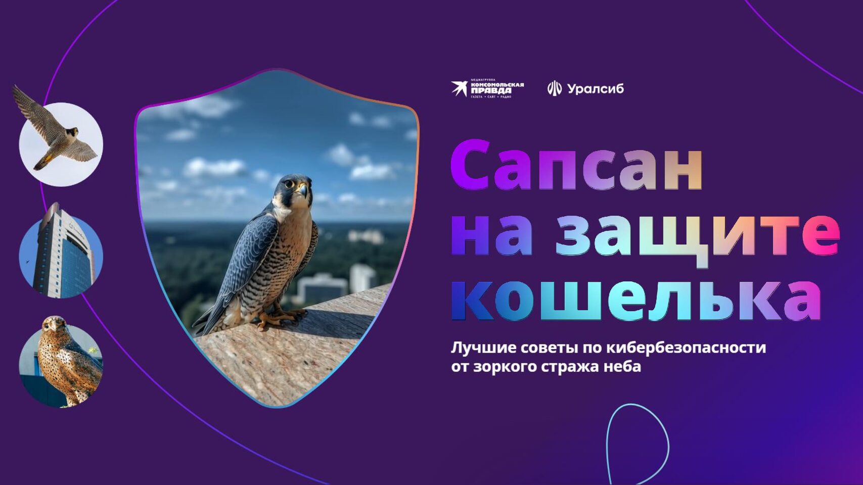 Сапсан на защите кошелька